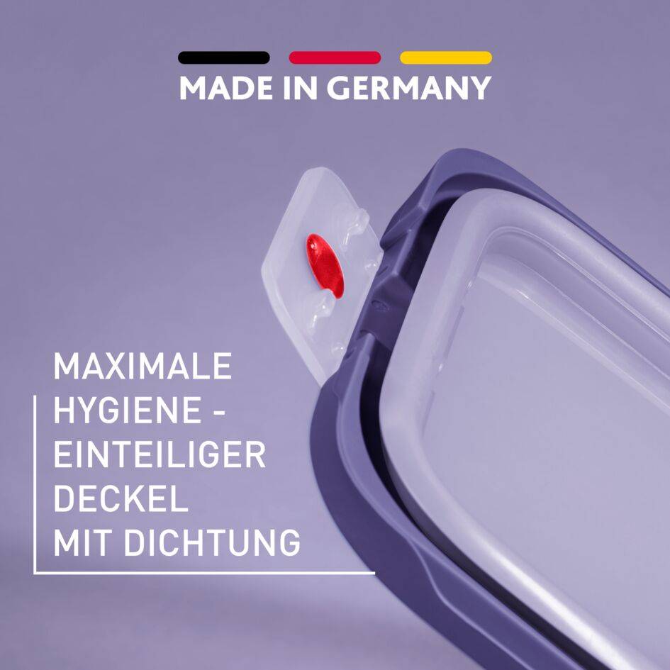 oneClick Frischhaltedosen 3-teiliges Set (3x 0,5 L) N12317