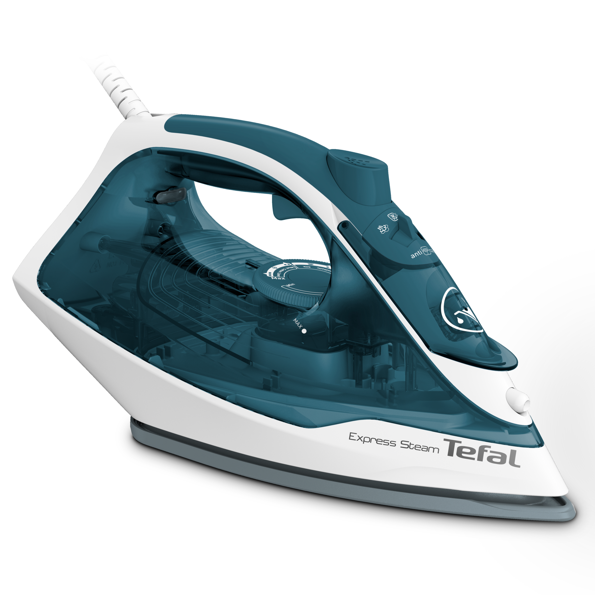 Express Steam FV2839