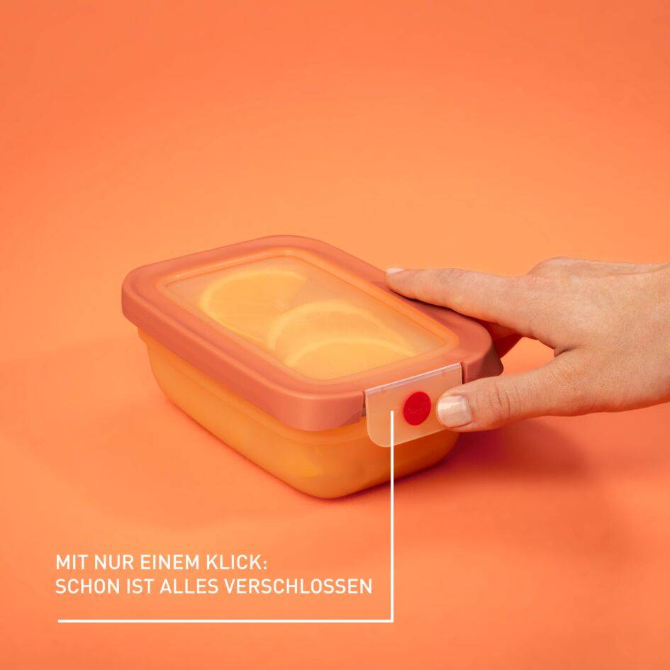 oneClick Frischhaltedosen 3-teiliges Set (3x 0,5 L) N12316