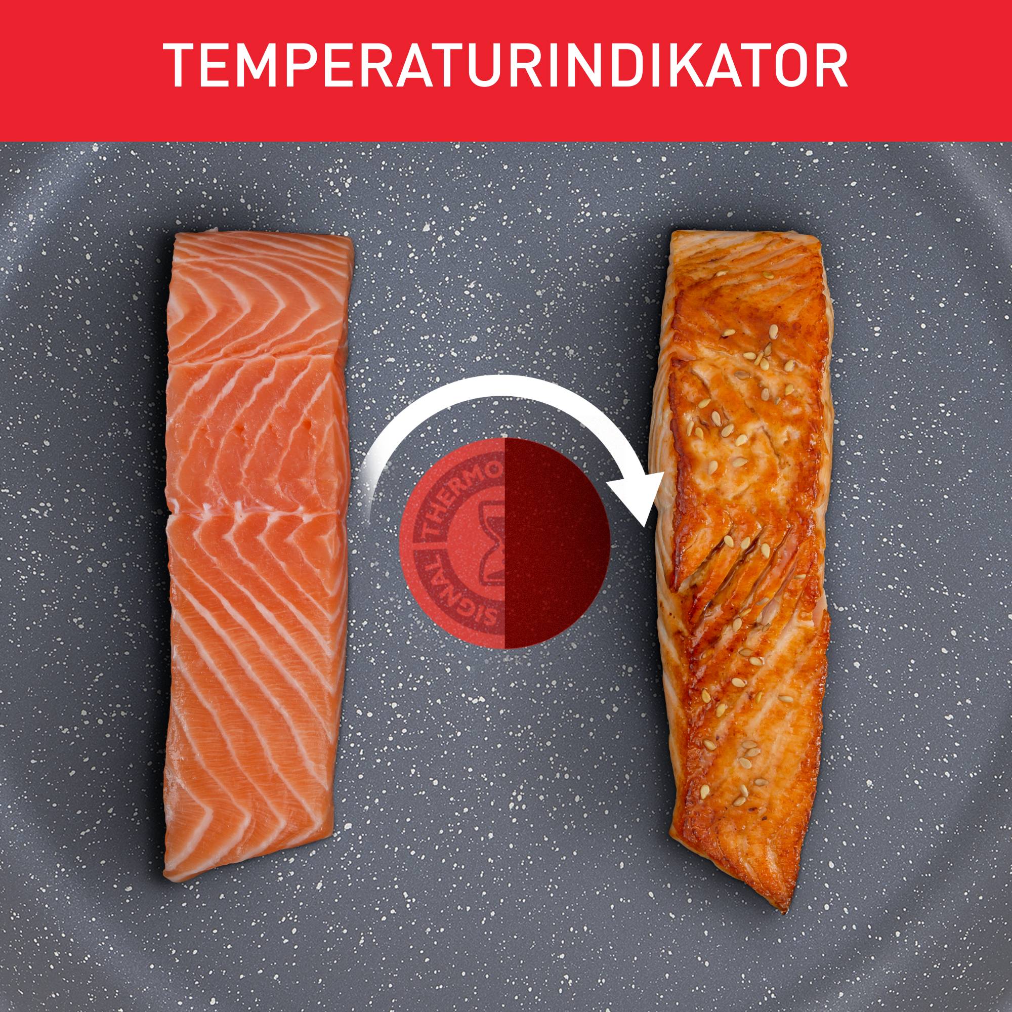 Healthy Chef Schmorpfanne 24cm G15032