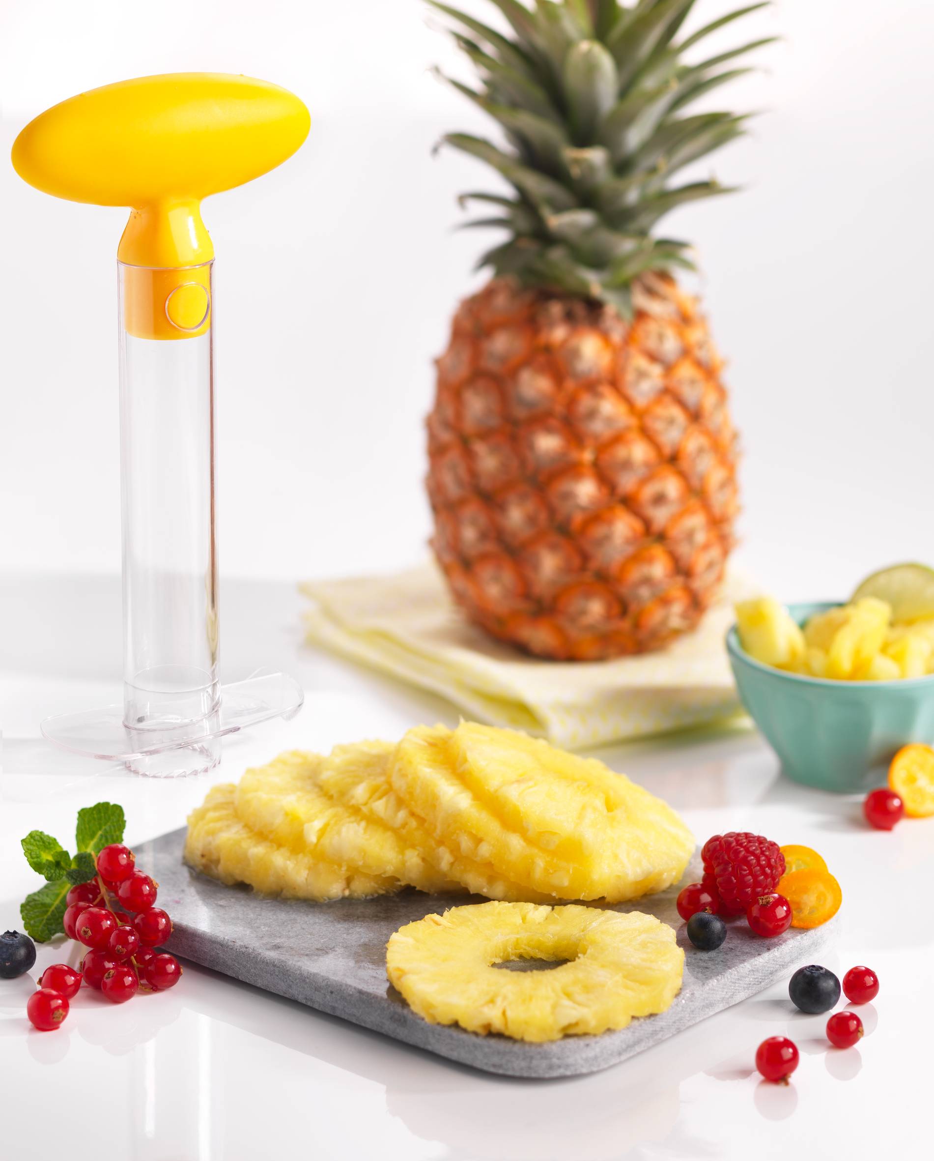 FRESH KITCHEN GADGETS BRADSHAW