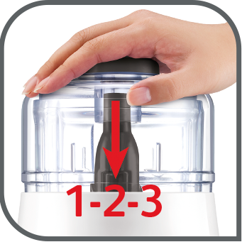 La Moulinette Zerkleinerer DPA1X