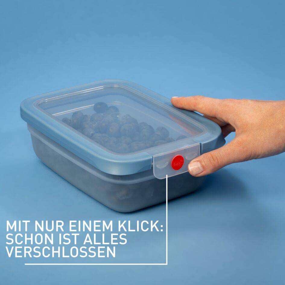 oneClick Frischhaltedosen 3-teiliges Space Saving Set (0,5 / 1,2 / 2,3 L) N12302