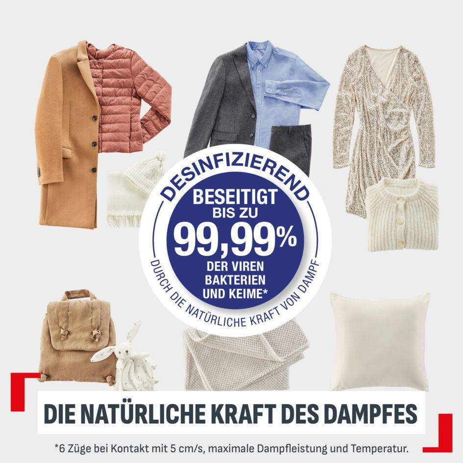 Access'Steam Pocket Dampfglätter DT3041