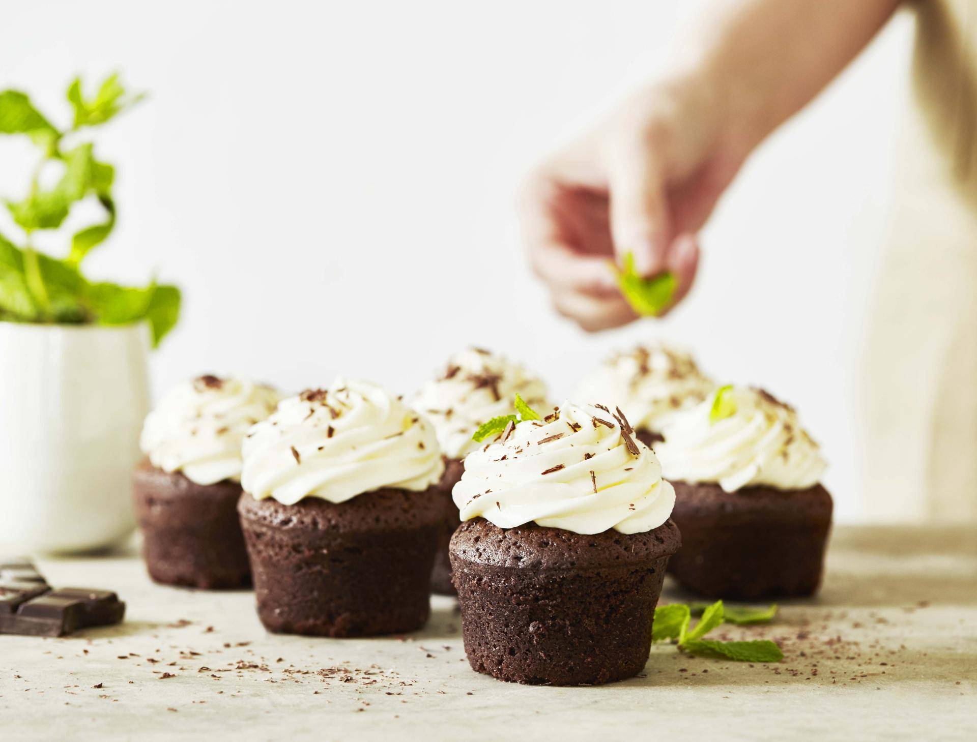 Schoko-Minze-Cupcakes - Rezepte Cake Factory | Tefal
