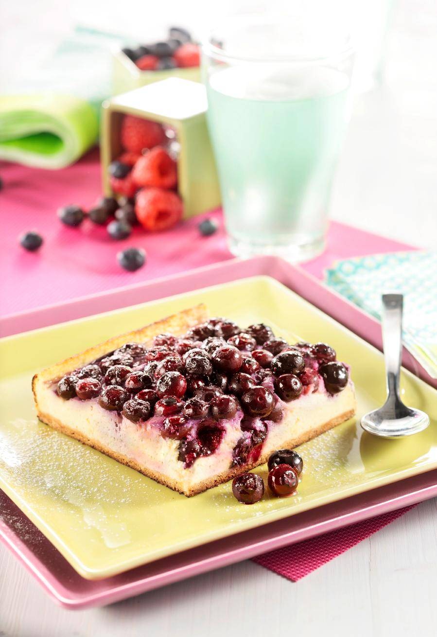 Blaubeer-Käsekuchen - Rezepte OptiGrill + | Tefal