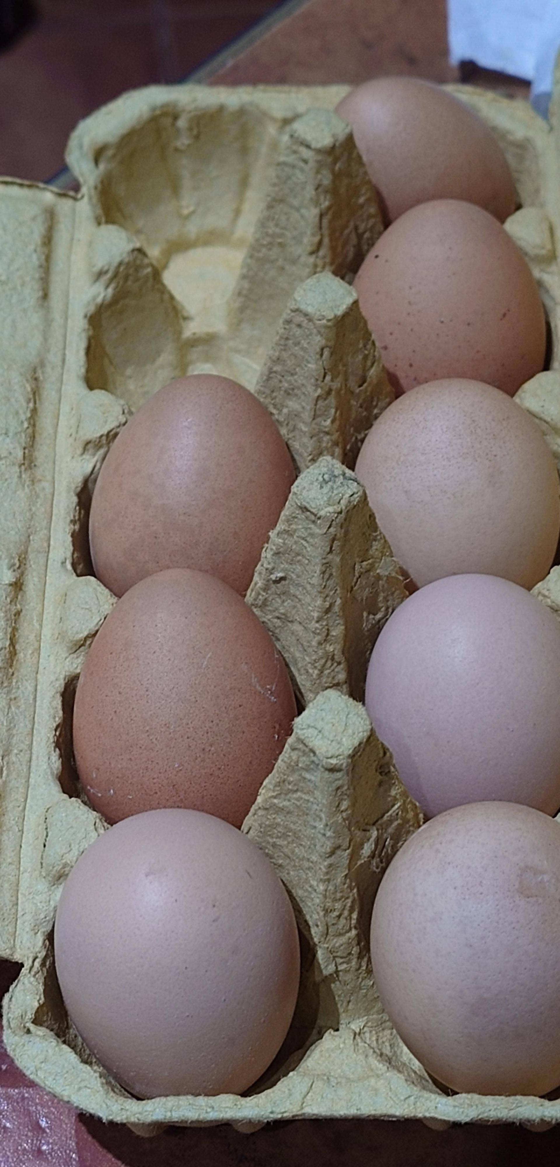 Eier kochen weich - Rezepte Dual EasyFry&Grill | Tefal