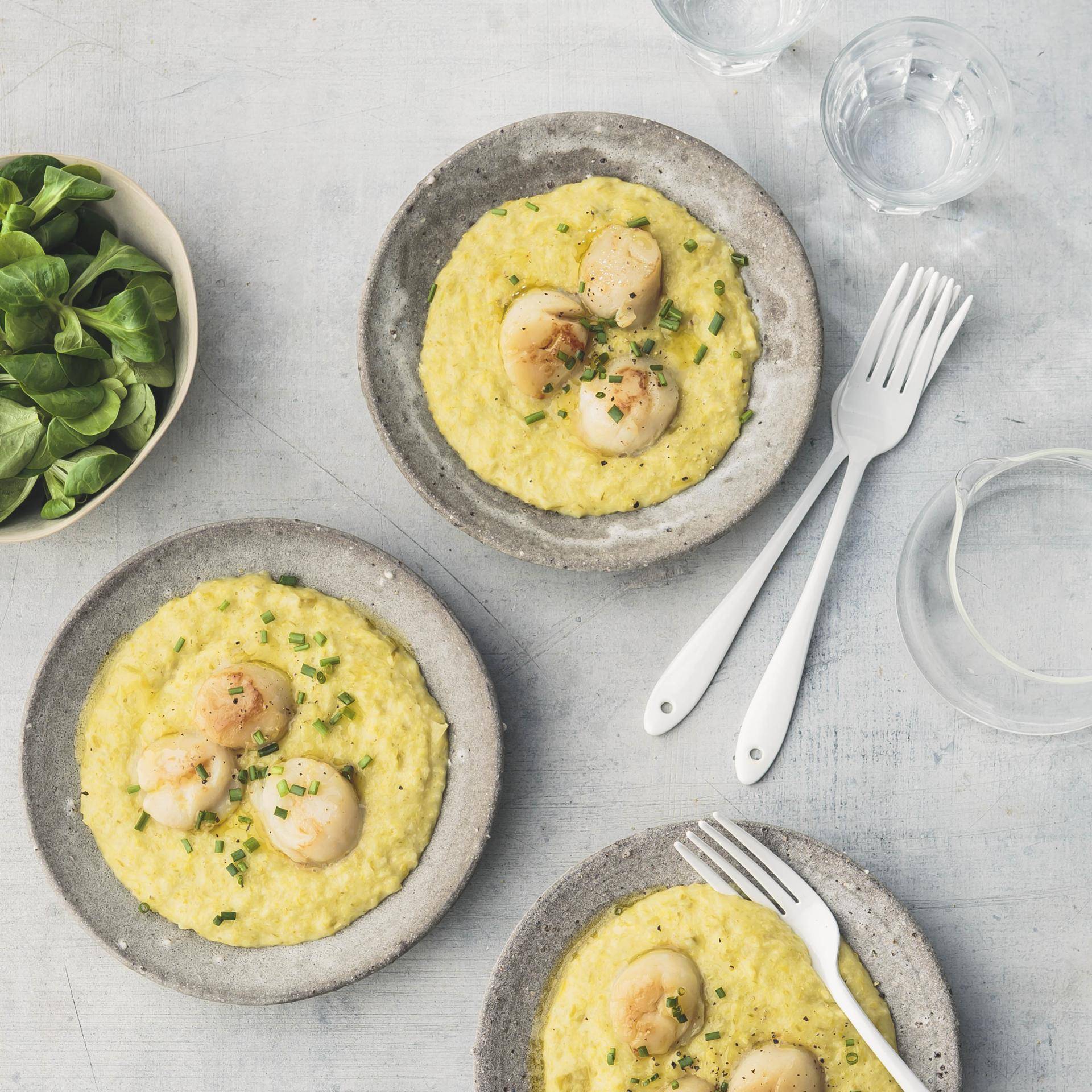 Jakobsmuscheln mit cremigem Lauch - Rezepte Turbo Cuisine & Fry | Tefal