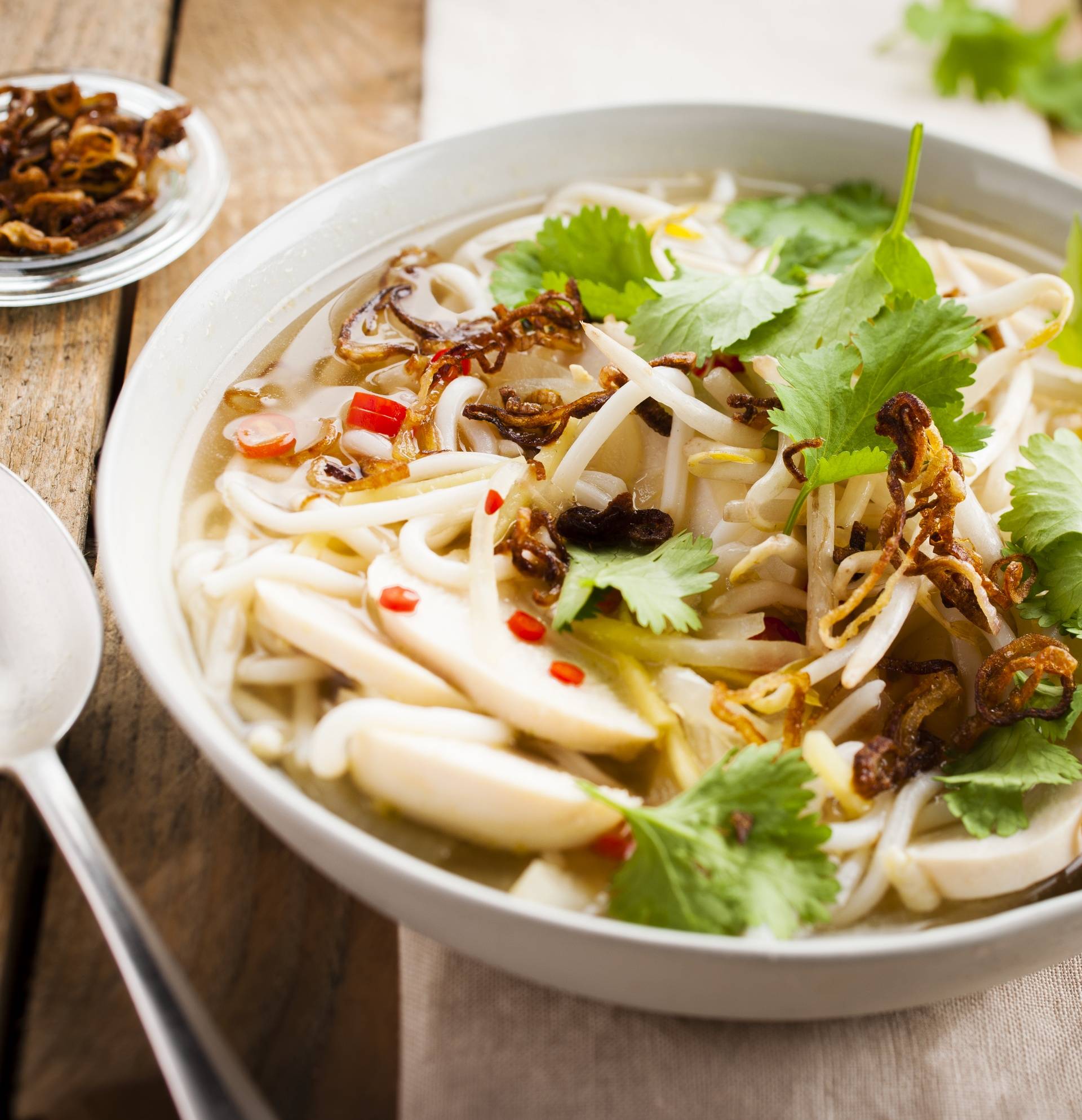 Vietnamesische Suppe mit Hühnchen - Rezepte Turbo Cuisine | Tefal