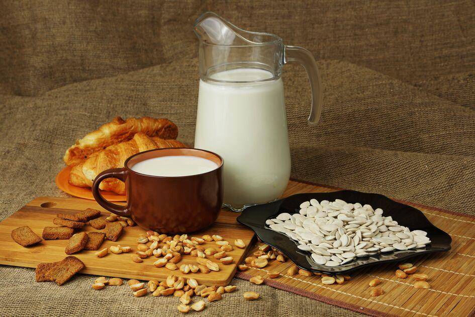 Sonnenblumenkernmilch - Rezepte Perfectmix + | Tefal